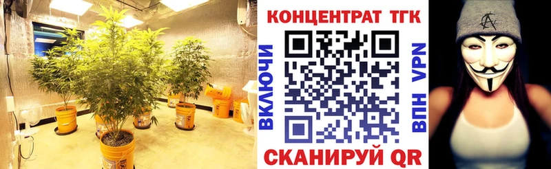 Дистиллят ТГК THC oil  Купить закладки  Глазов 